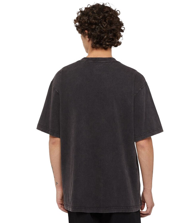DICKIES Plentywood S/S Tee - Dble Dye/Acid Black