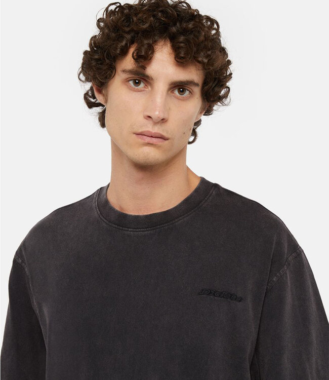 DICKIES Plentywood S/S Tee - Dble Dye/Acid Black