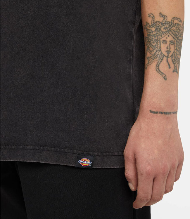 DICKIES Plentywood Ss Tee - Dble Dye/Acd Black