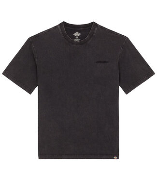 DICKIES Plentywood S/S Tee - Dble Dye/Acid Black DICKIES Plentywood S/S Tee - Dble Dye/Acid Black