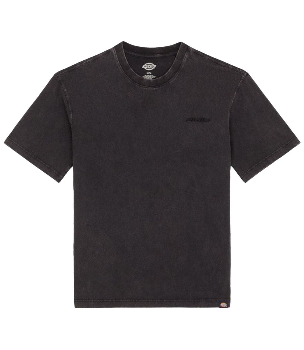 DICKIES Plentywood S/S Tee - Dble Dye/Acid Black