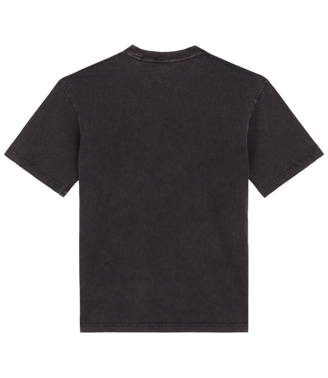 DICKIES Plentywood S/S Tee - Dble Dye/Acid Black