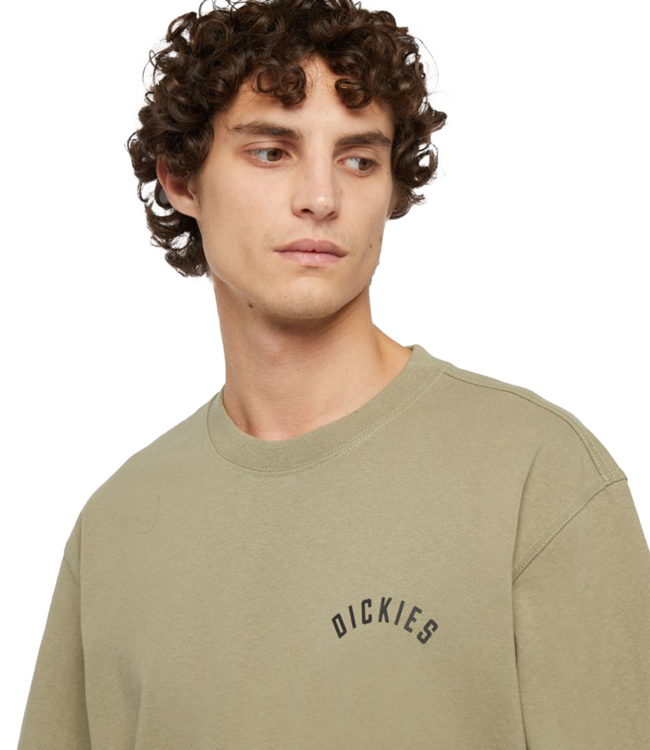 DICKIES Panther T-Shirt - Imperial Green