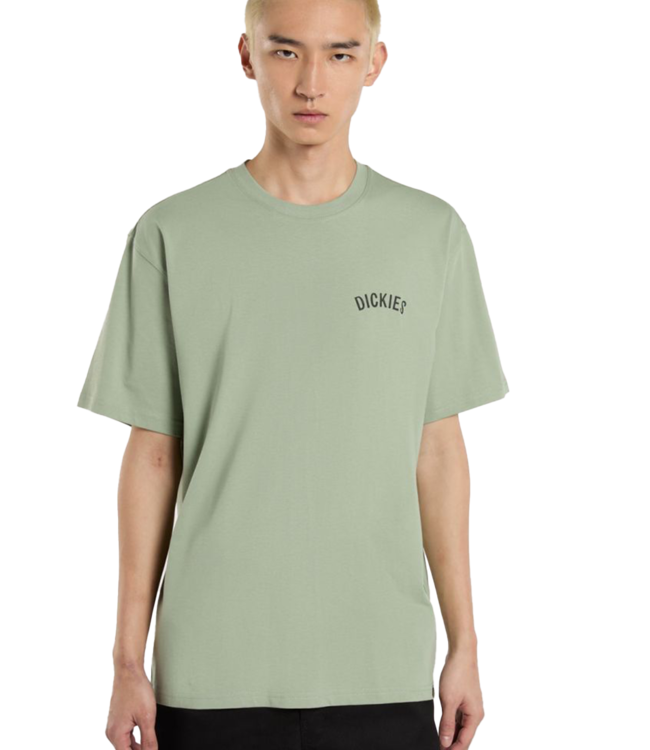 DICKIES Snake T-Shirt - Iceberg Green