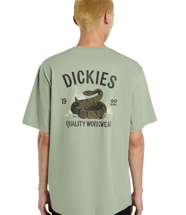 DICKIES Snake T-Shirt - Iceberg Green