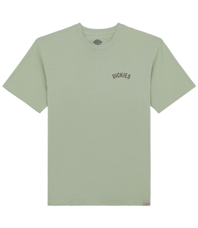 DICKIES Snake T-Shirt - Iceberg Green