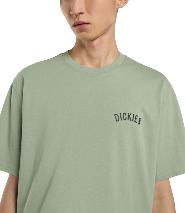DICKIES Snake T-Shirt - Iceberg Green