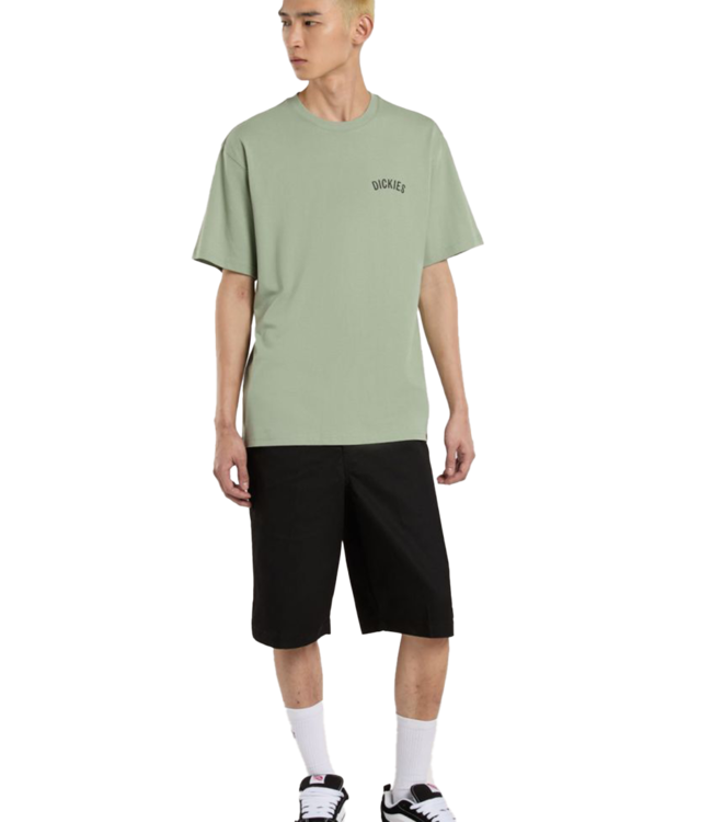 DICKIES Snake T-Shirt - Iceberg Green