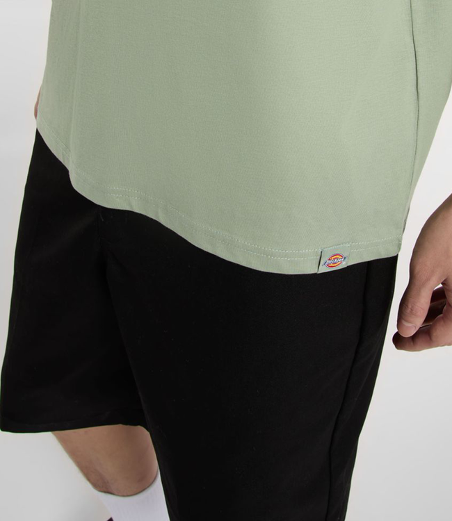 DICKIES Snake T-Shirt - Iceberg Green