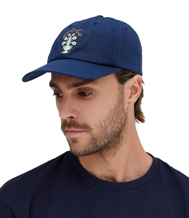 STANCE Standard Adjustable Cap - Midnight