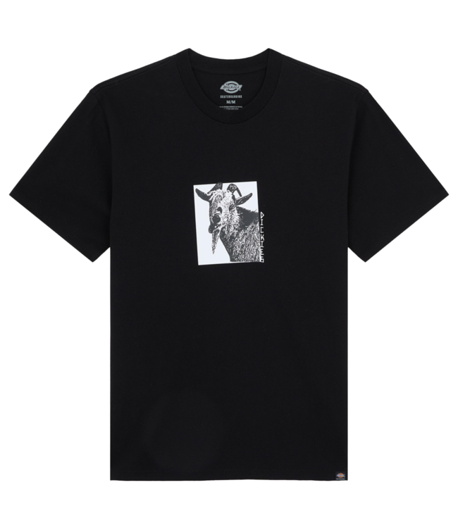 DICKIES Mike Anderson Graphic Ss Tee - Black