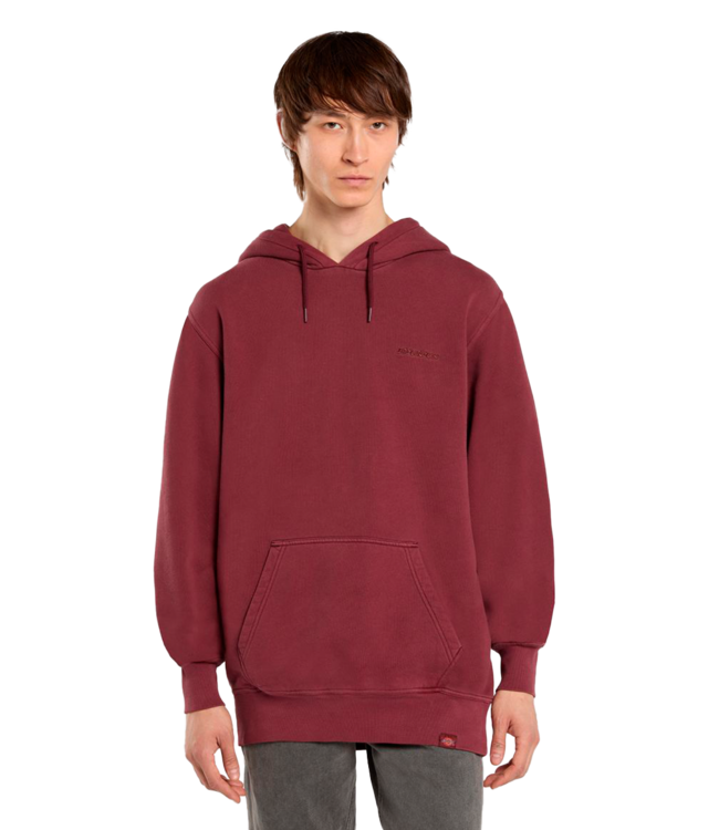 DICKIES Plentywood Hoodie - Andorra