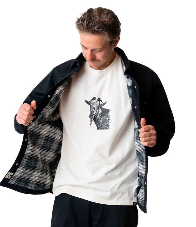 DICKIES Mike Anderson Ld Flx Shacket - Black