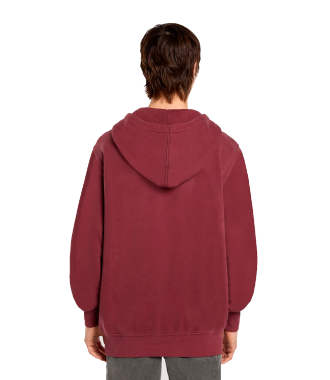 DICKIES Plentywood Hoodie - Andorra