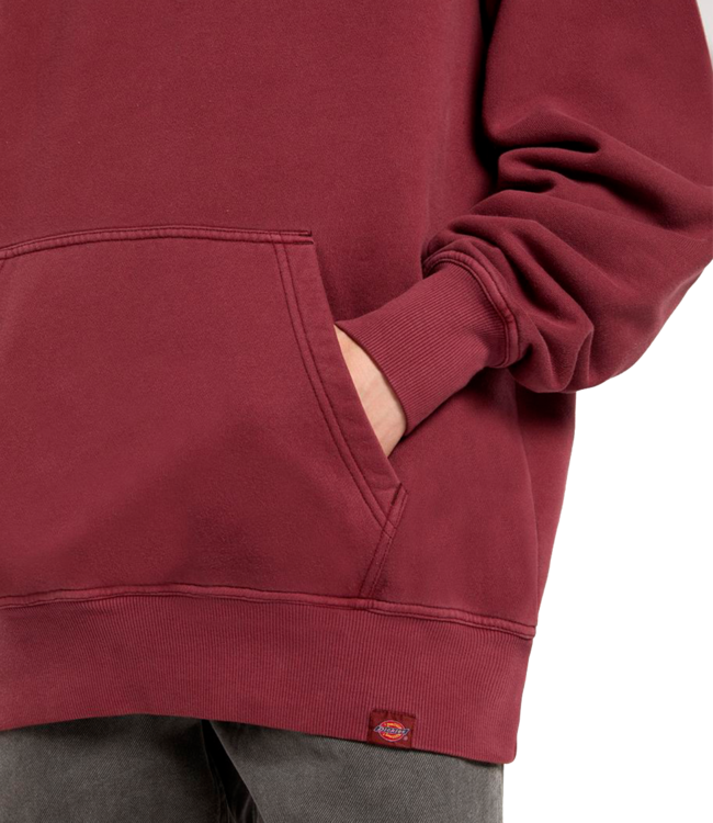 DICKIES Plentywood Hoodie - Andorra