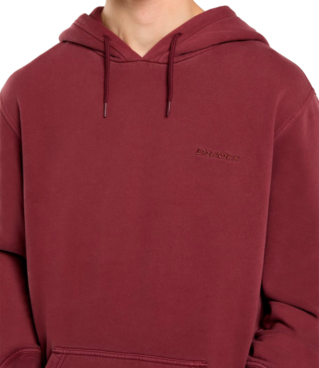 DICKIES Plentywood Hoodie - Andorra