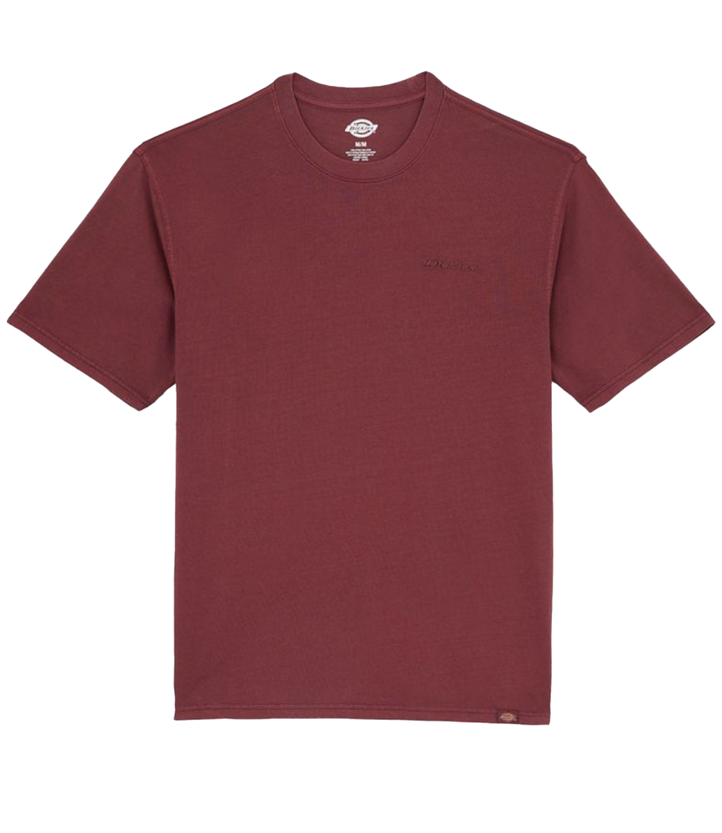DICKIES Plentywood Ss Tee - Andorra