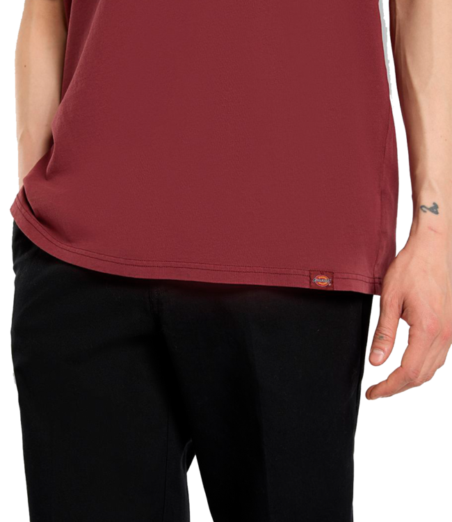 DICKIES Plentywood Ss Tee - Andorra