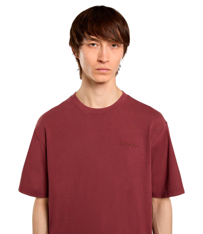 DICKIES Plentywood Ss Tee - Andorra