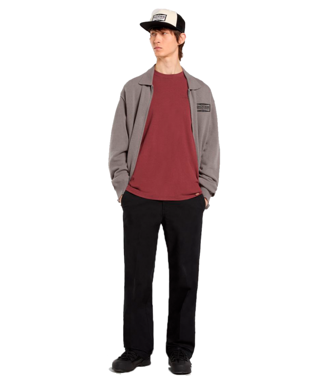 DICKIES Plentywood Ss Tee - Andorra