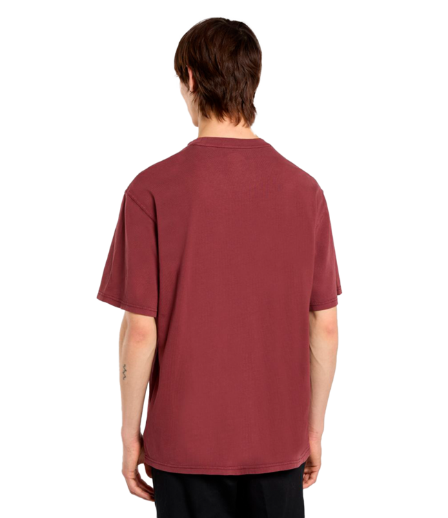 DICKIES Plentywood Ss Tee - Andorra