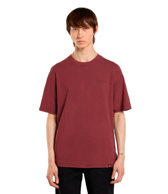DICKIES Plentywood Ss Tee - Andorra