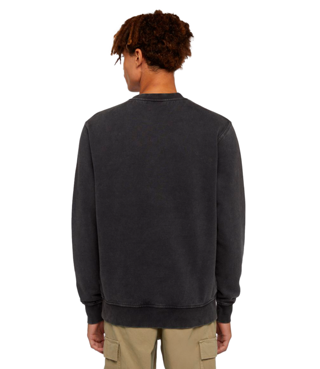 DICKIES Plentywood Sweatshirt - Black