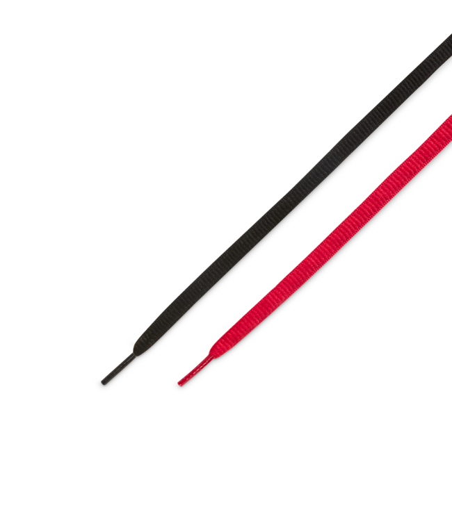 NIKE SB P-Rod 1 - Bred 20th anniversary