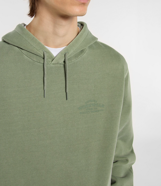 DICKIES Christiana Gd Hoodie - Sea Spray