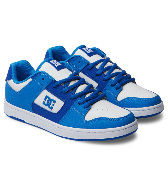 DC Manteca 4 - Blue/Blue/White
