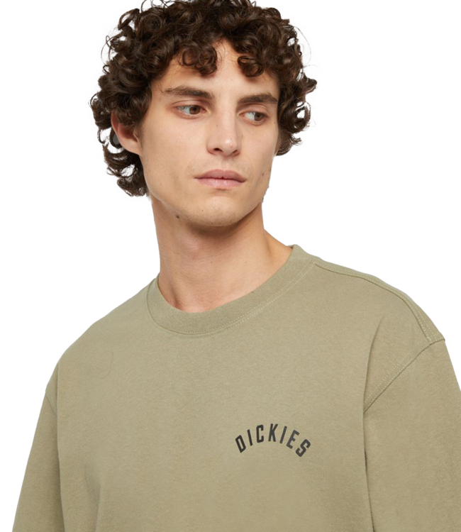 DICKIES Panther T-Shirt - Imperial Green