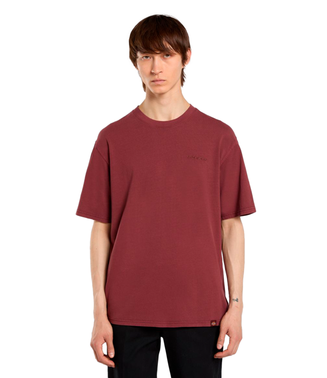 DICKIES Plentywood Ss Tee - Andorra