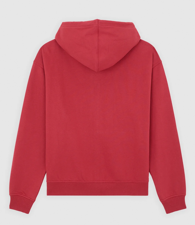 DICKIES Aitkin Zt Hoodie - Garnet