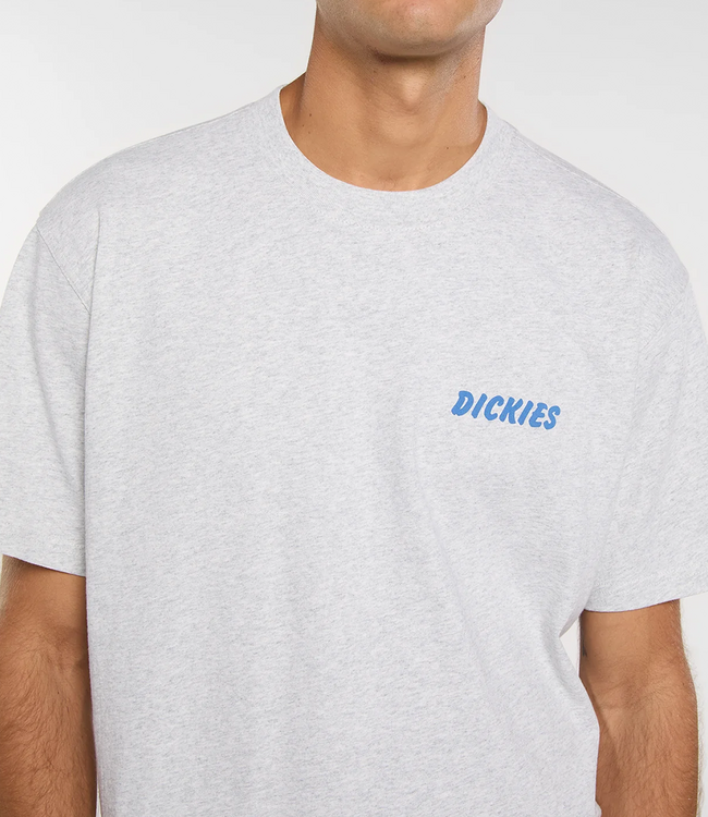 DICKIES Dry Ridge Ss Tee - Light Gray