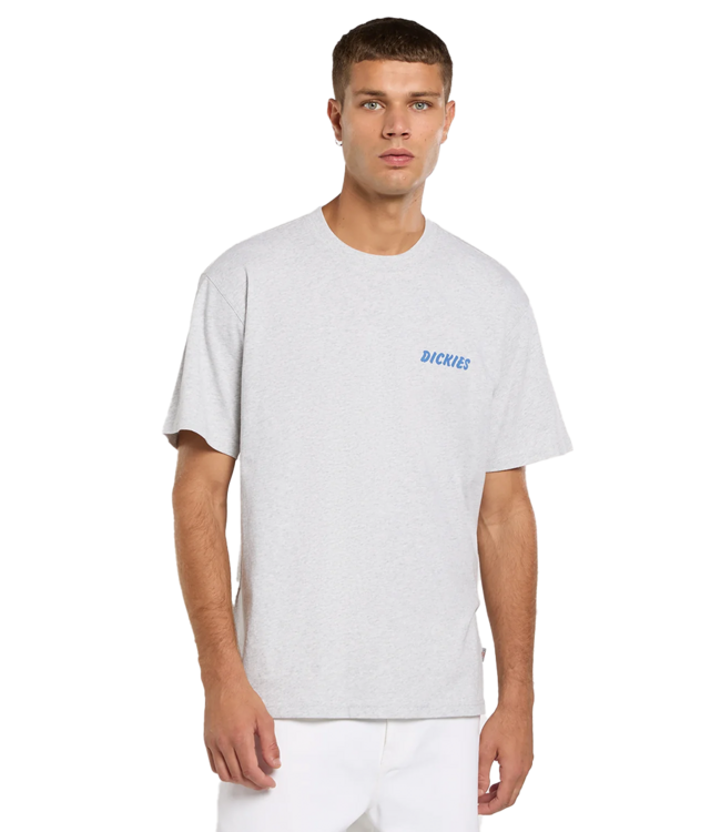 DICKIES Dry Ridge Ss Tee - Light Gray