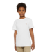DICKIES Mapleton Tee - White