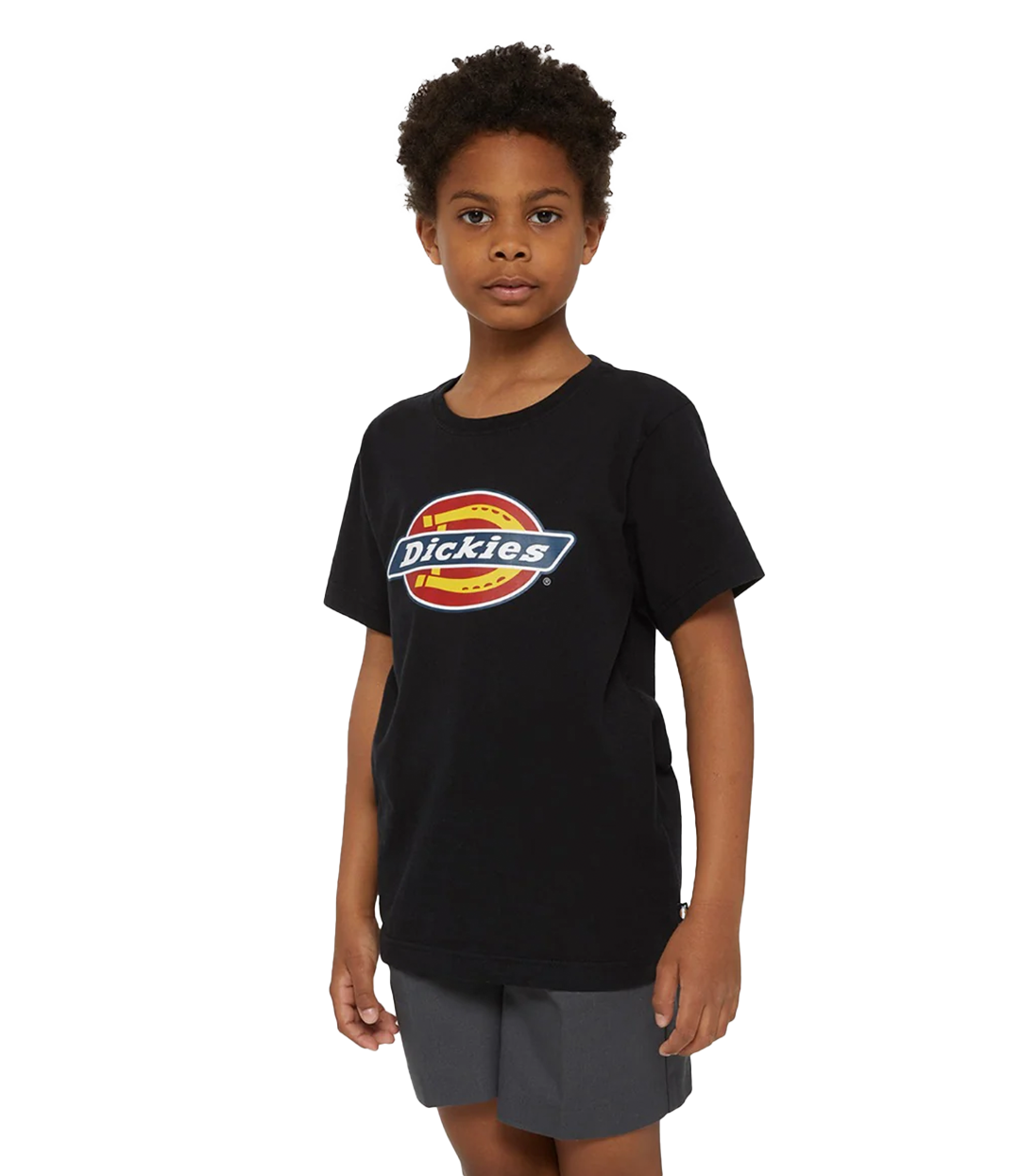 DICKIES Logo Tee - Knit Black