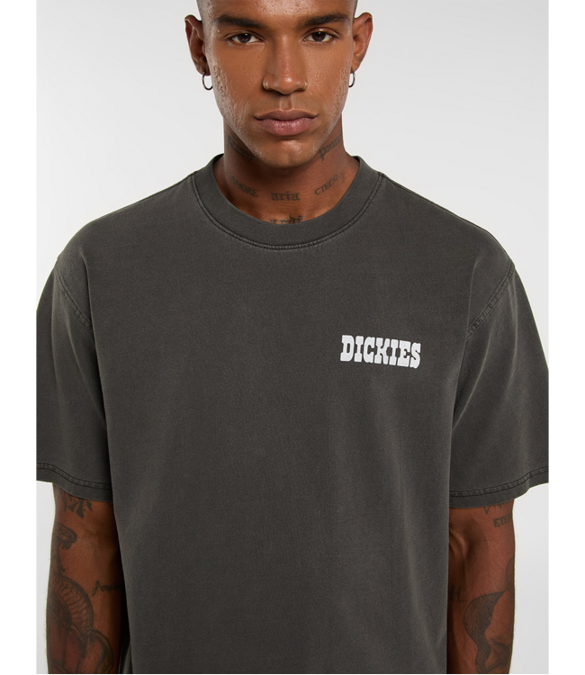 DICKIES Dickies Buchtell T-shirt - Black