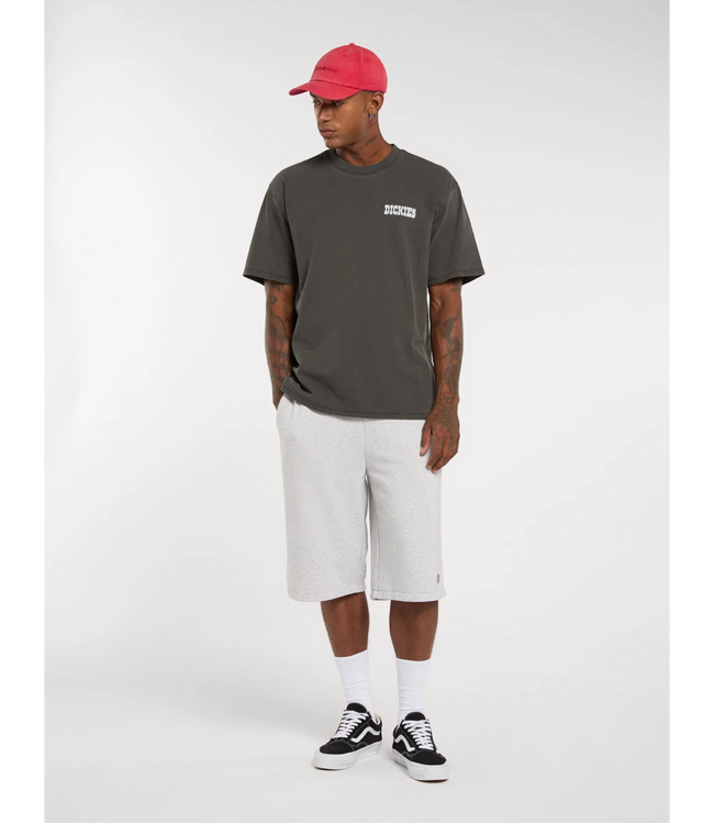 DICKIES Dickies Buchtell T-shirt - Black