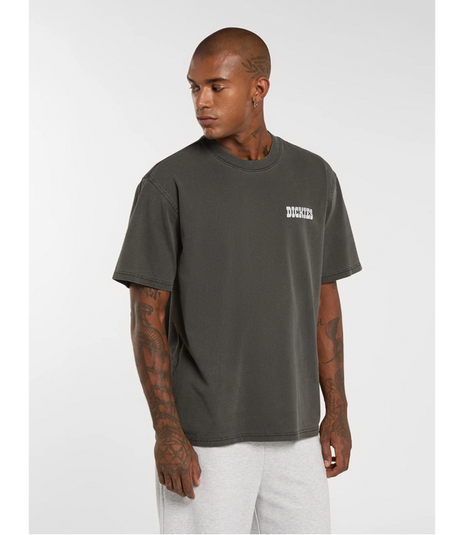 DICKIES Dickies Buchtell T-shirt - Black