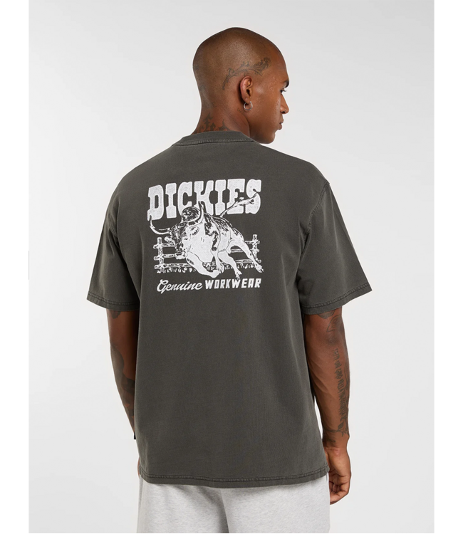 DICKIES Dickies Buchtell T-shirt - Black