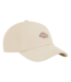 DICKIES Hardwick Cord Cap 2 - Stone