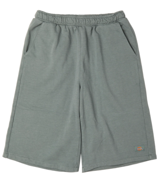 DICKIES Streetsboro 13 Inch Sweat - Stormy Sea