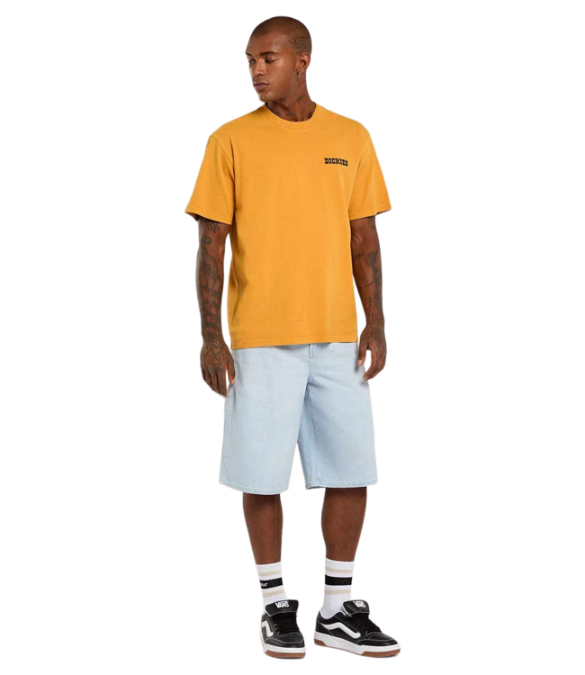 DICKIES 958 13Inch Loose Short - Fog Blue