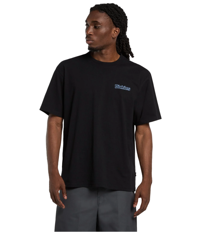 DICKIES Fairlawn Ss Tee - Black