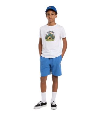 DICKIES Mapleton Sweatshort - Delft DICKIES Mapleton Sweatshort - Delft