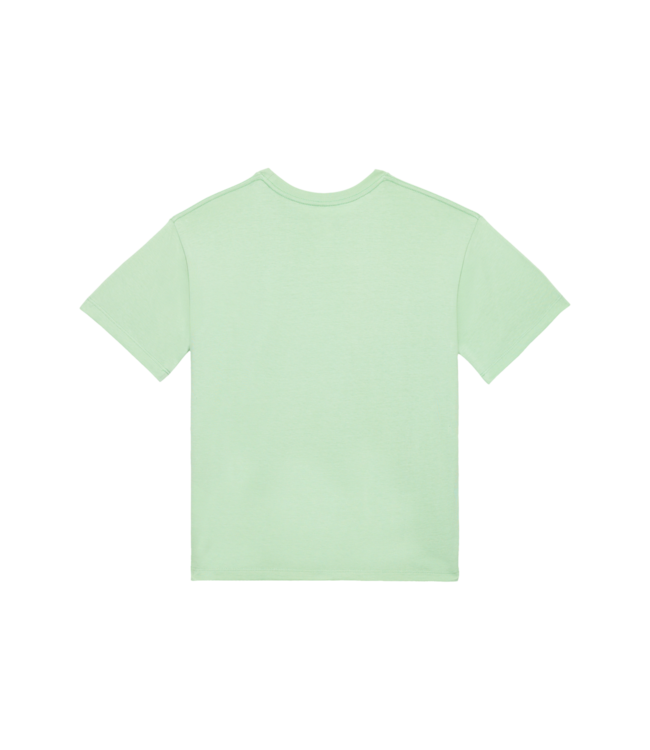 VOLCOM Stone Blanks Bsc T-shirt - Ice Green