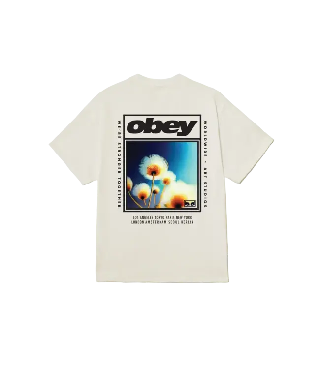 OBEY Obey Stronger Together T-Shirt - Vintage White