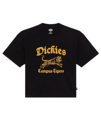 DICKIES Apalachicolsa Ss Tee - Black