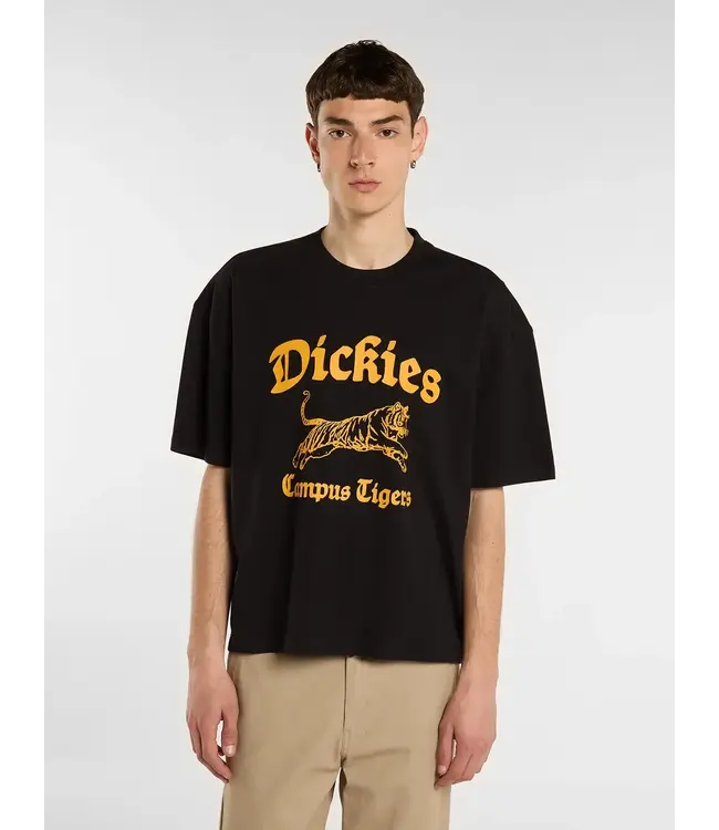 DICKIES Apalachicolsa Ss Tee - Black